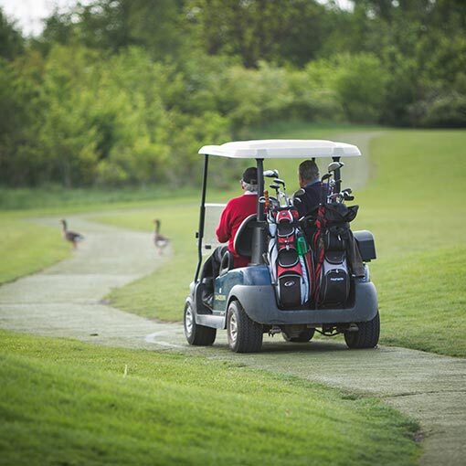 Buggy Safety Policy