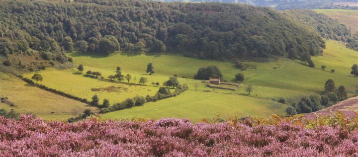 Yorkshire Countryside