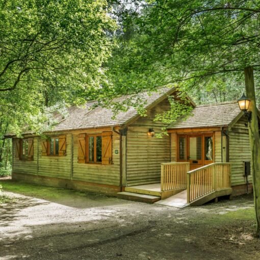 Griffon Forest Lodges