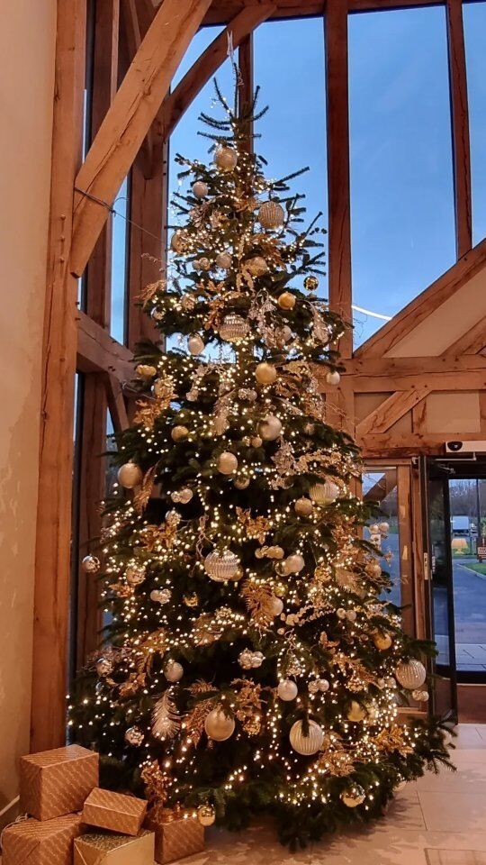 How cosy and festive is our hotel reception and bar looking? 😍🎄 

Come and enjoy some delicious cocktails with us this weekend 🍸 

What's your favourite Christmas tipple? 🥂
.
.
.
#christmas #festive #christmasdrinks #christmastree #christmasinyorkshire #yorkshirechristmas #hotelchristmas #cocktails #sandburnhall #sandburnhallhotel