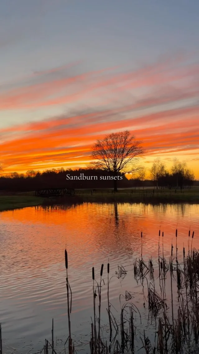 We’ll never get tired of this view 🧡

Who else loves a Sandburn sunset? 😍

#sandburnhall #sunset #golfcourse #york #yorkshire
