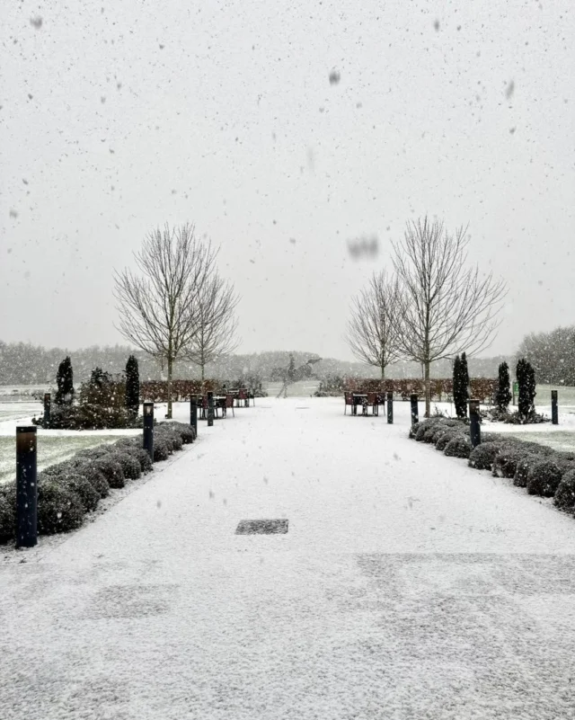 How is Christmas Day only 3 MONTHS away?! ❄️

These snowy Sandburn throwbacks are getting us very excited for twinkling lights, festive food and cosy Christmas nights ✨

The countdown is officially on… 🎅

From festive dining to Christmas events, take a look at what’s coming up at Sandburn this festive season!

👉 Link in bio 

#sandburnhall #christmas #winter #yorkshire #snow