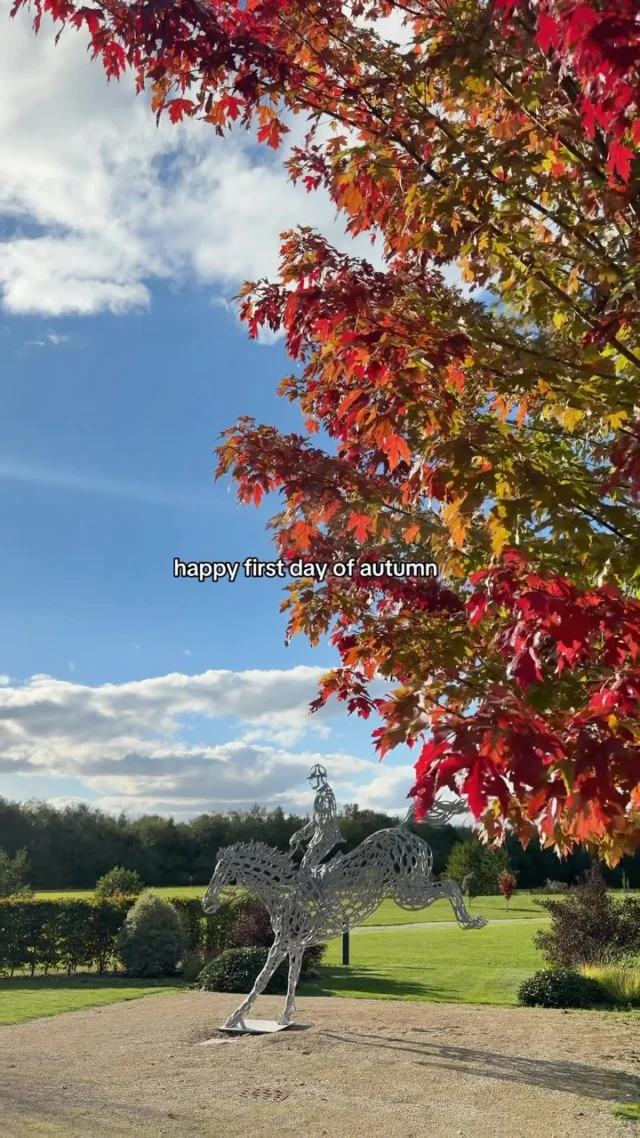 Hello, autumn 🤎

And just like that, the official first day of our favourite season is here…

Here’s to orange leaves, crisp mornings and autumn days at Sandburn 🍂

#sandburnhall #autumn #yorkshire #york #yorkshirehotel