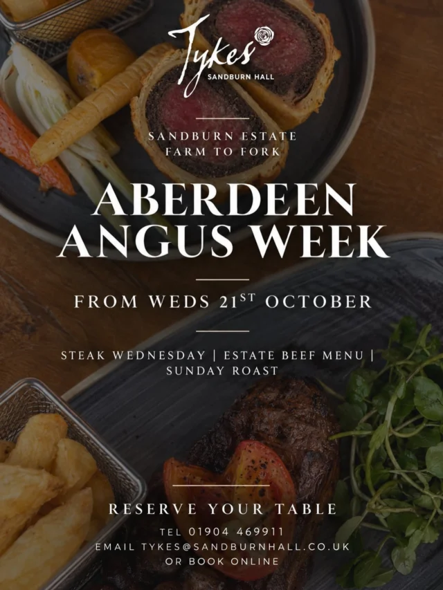 From our fields to your plate! 🌿🥩

Our Aberdeen Angus Week is making a return from Wednesday 21st October, bringing you another chance to enjoy our very own Sandburn Estate-reared beef!

Think delicious beef specials, Steak Wednesday and Sunday Roast, all celebrating our farm-to-fork journey! 🍴

You won’t want to miss this one!

Book your table 👉 Link in our bio!

#sandburnhall #tyklesrestaurant #aberdeenangus #farmtofork #yorkshireproduce